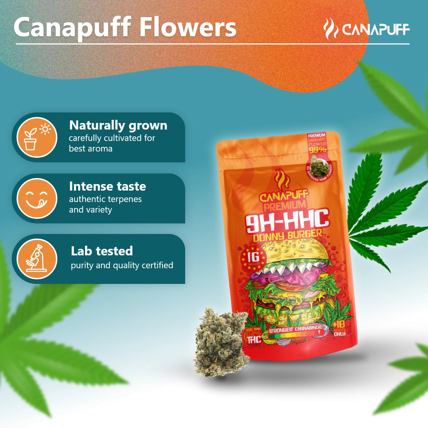 9H-HHC Flowers Donny Burger 99%