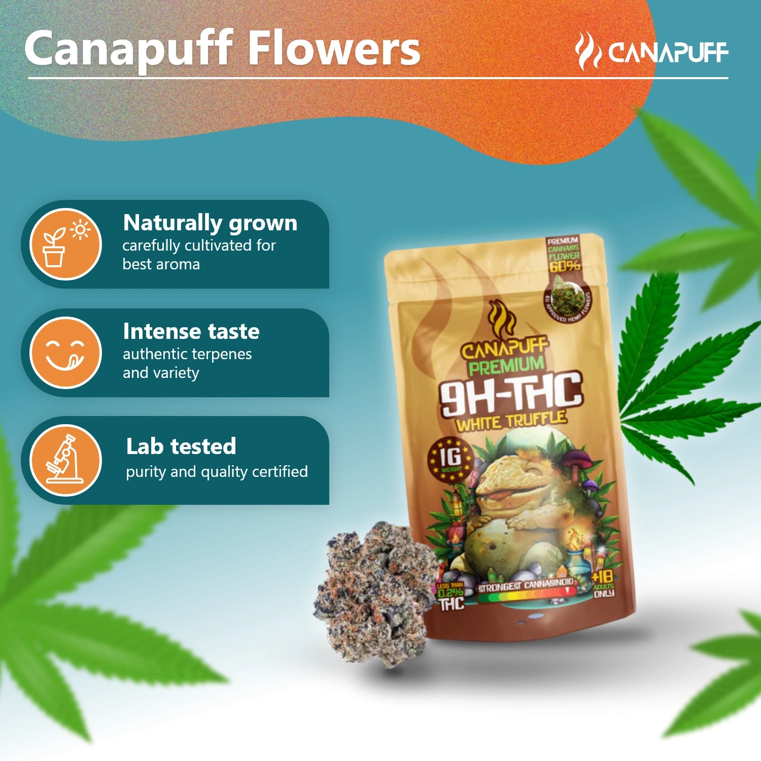 9H-THC Flowers White Truffle 99%