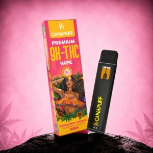 9H-THC Vape Permanent Marker 95% 1ml