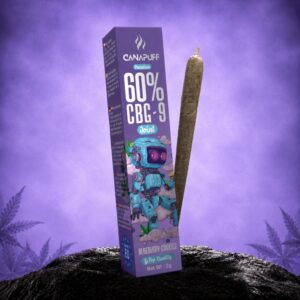 CBG9 Joint Blueberry Cookies 60% 2g