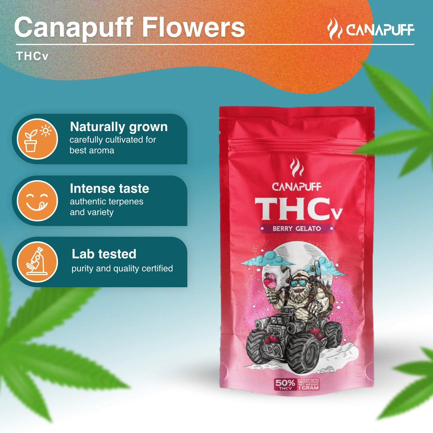 THCv Flowers Berry Gelato 50%