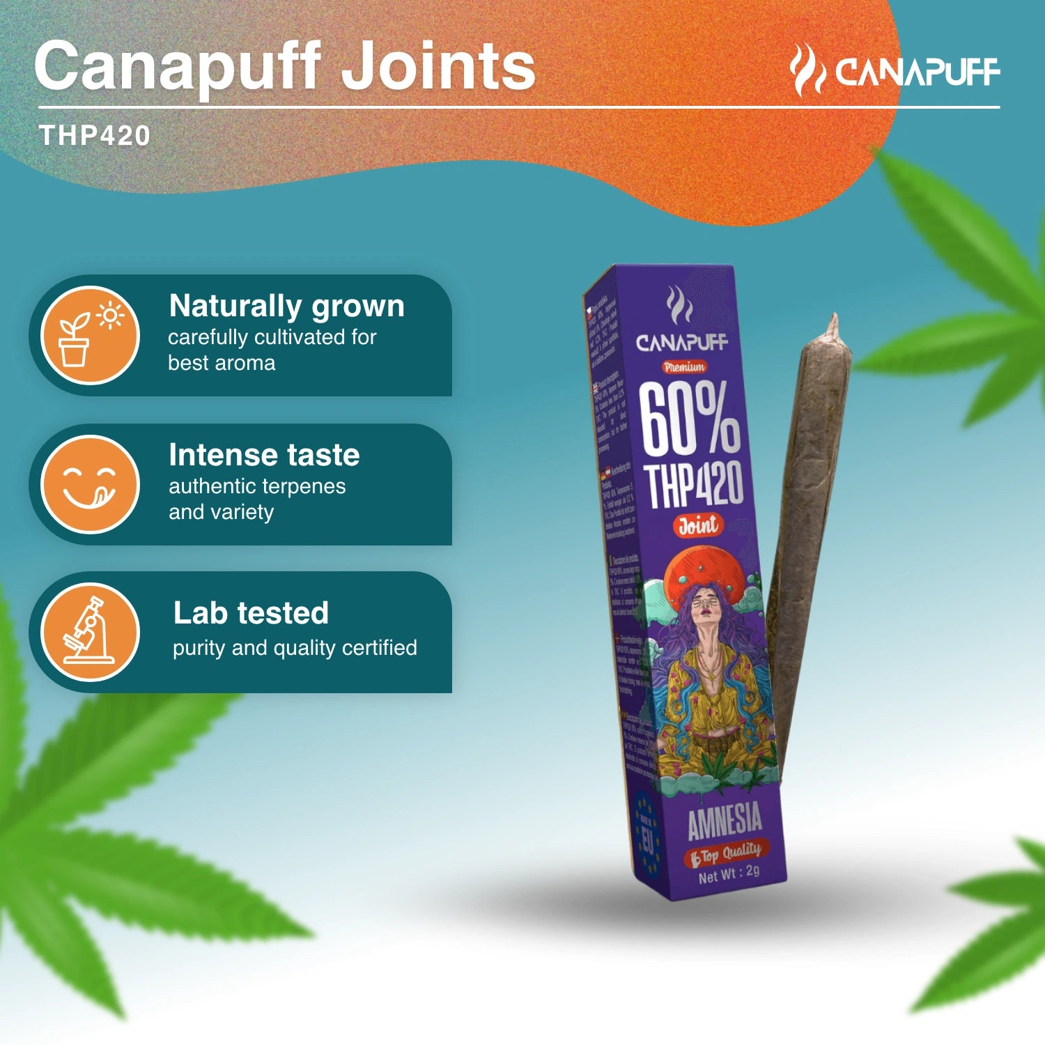 THP420 Joint Amnesia 60% 2g