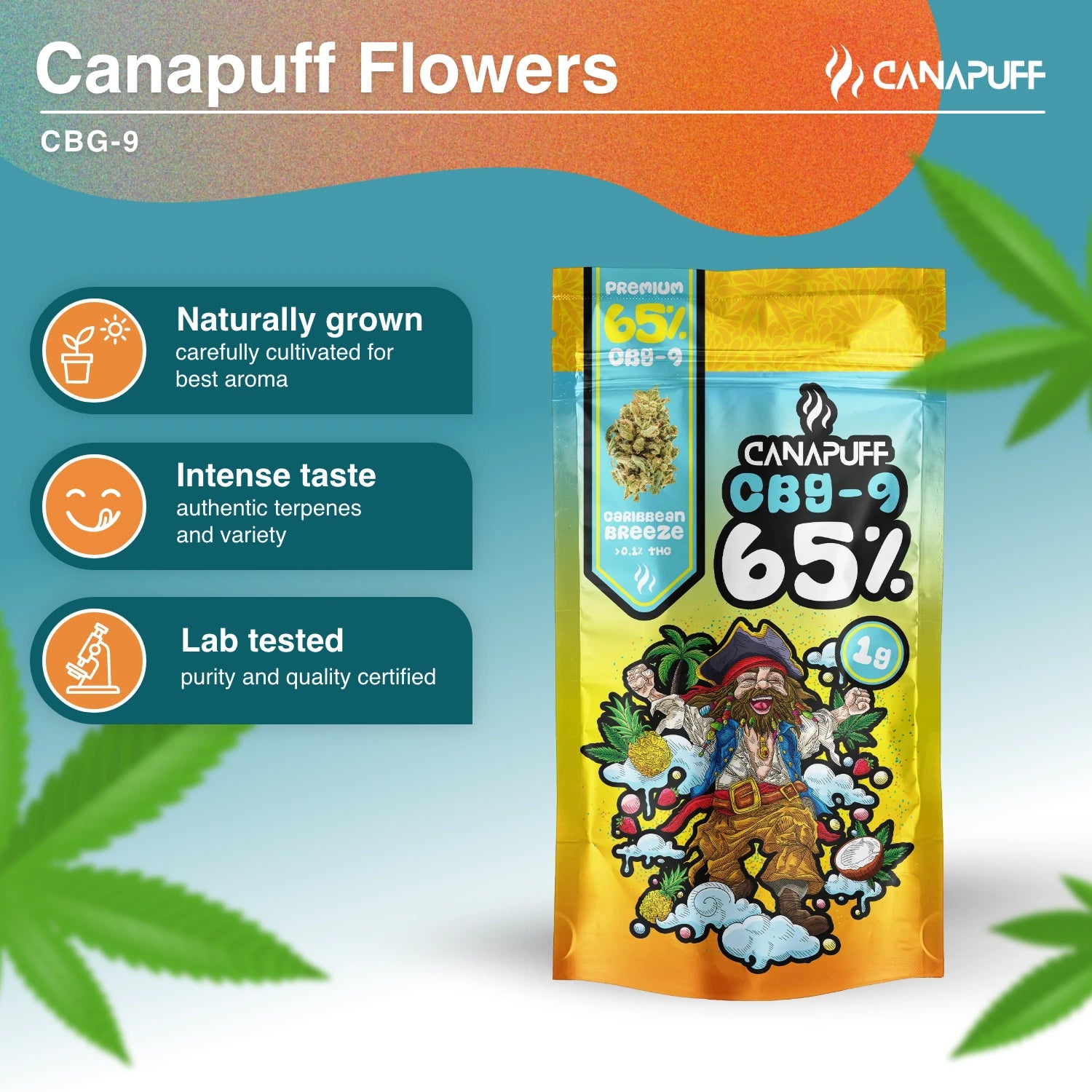 CBG9 Flowers Caribbean Breeze 65%