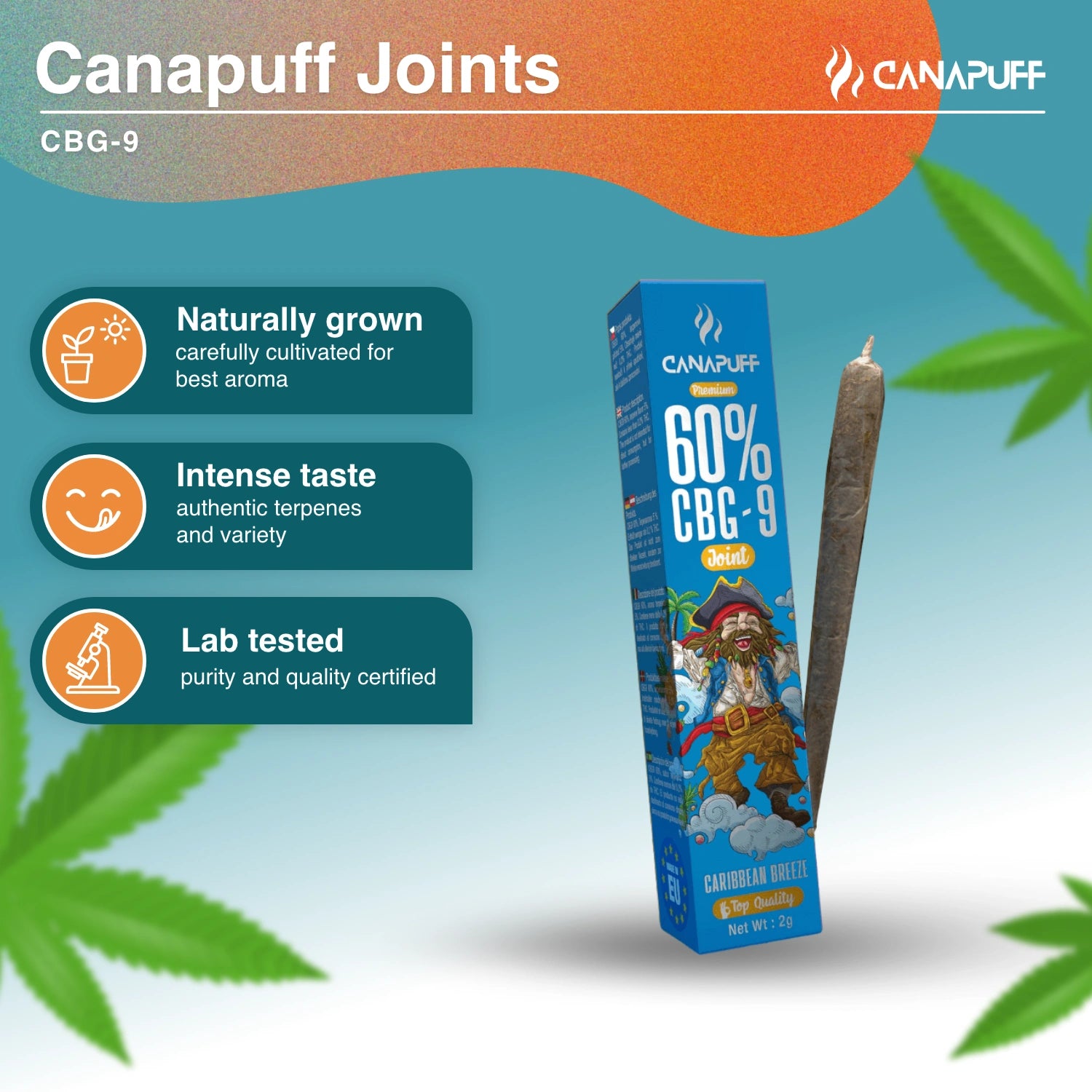 CBG9 Joint Caribbean Breeze 60%