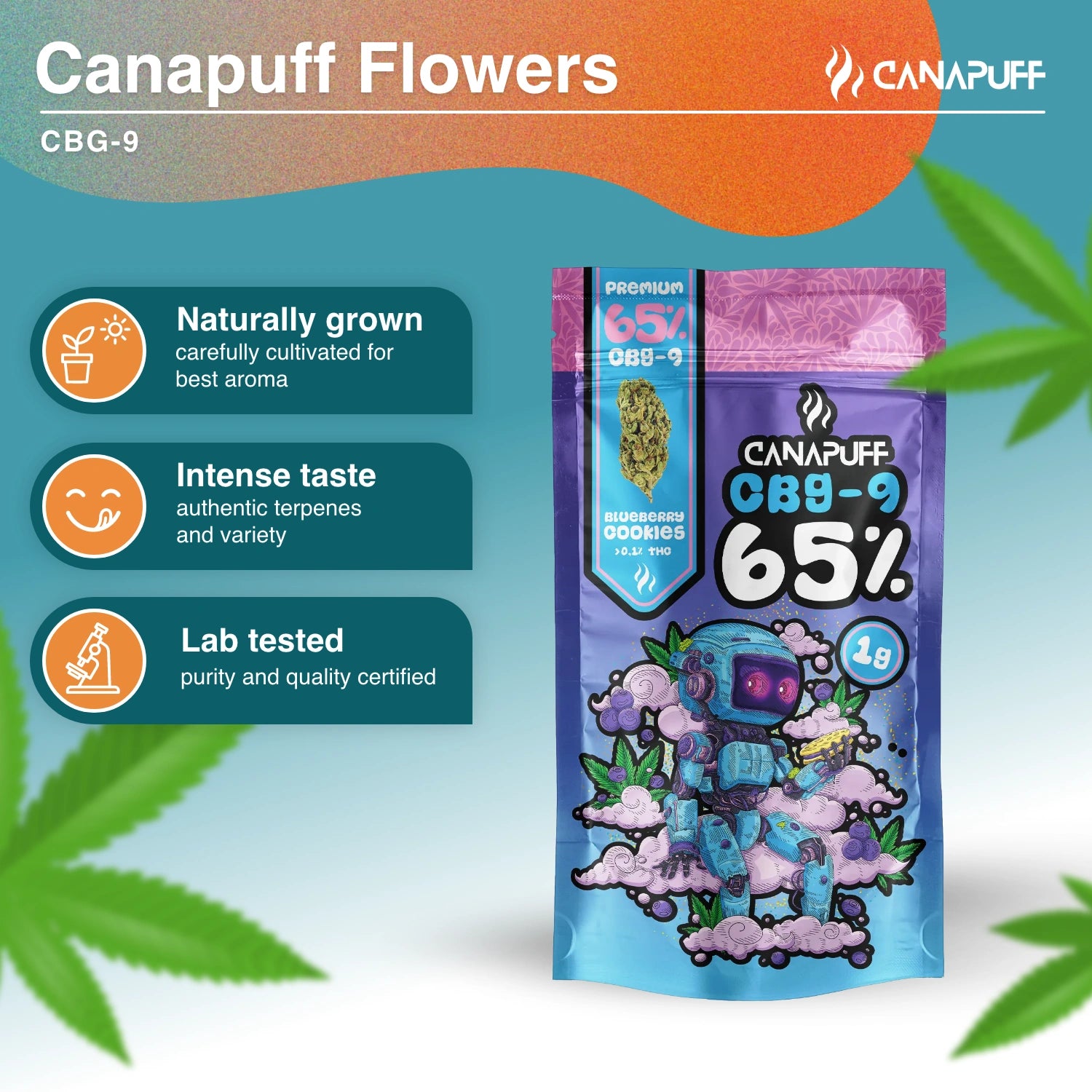 CBG9 Flowers Blueberry Cookie 65%