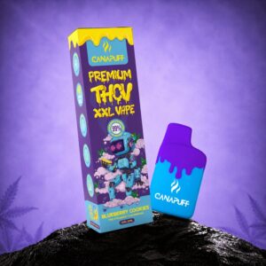 THCv XXL Vape Blueberry Cookies 99% 2ml